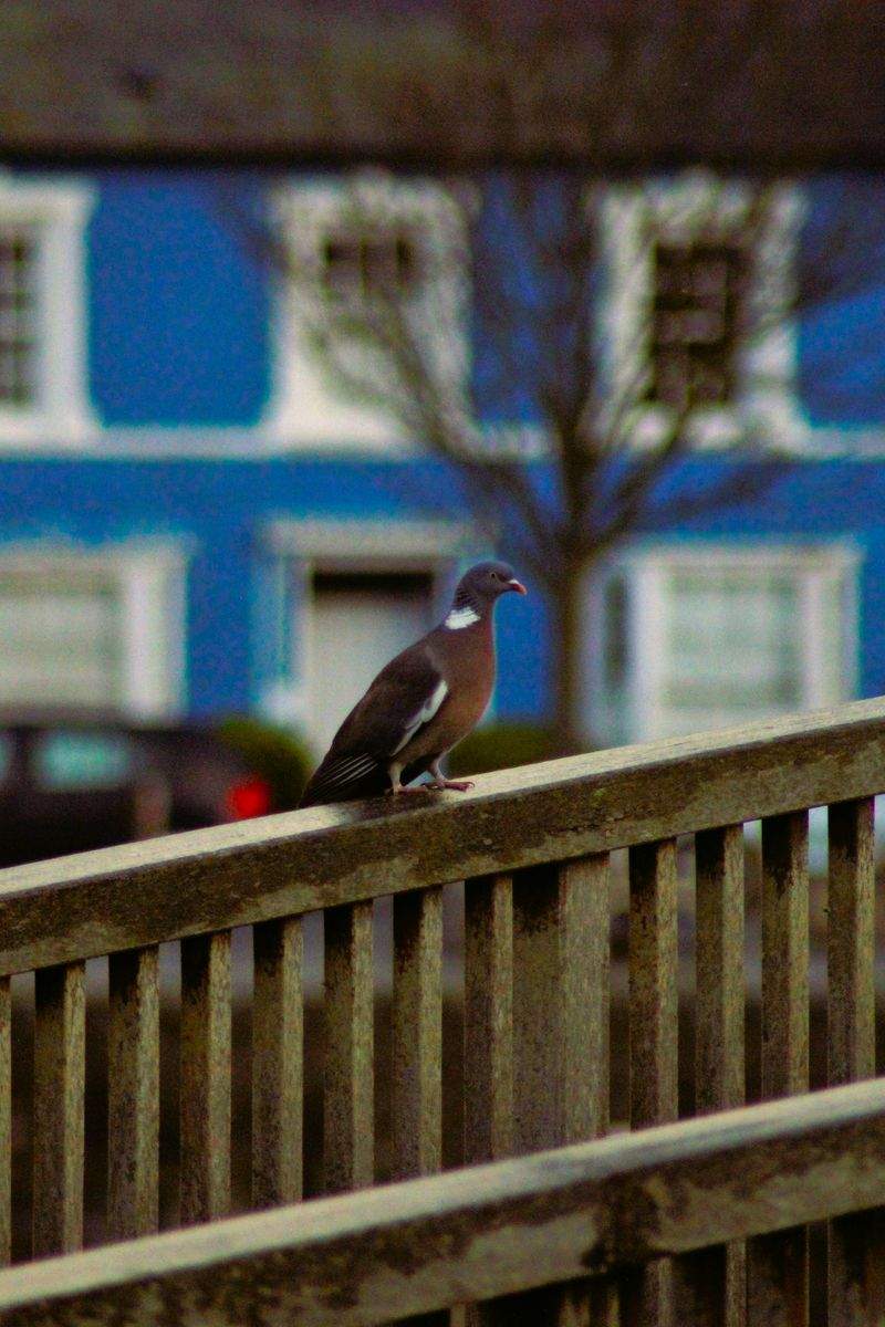 Casa Bella Italia - Image 1